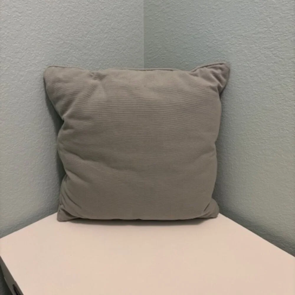 Restoration Hardware linen pillow cover with insert, pale green - SALE!